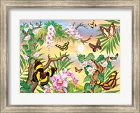 Framed Butterflies Up IN The Canopy