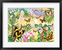 Framed Butterflies Up IN The Canopy