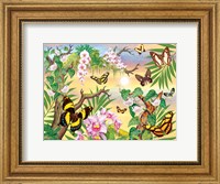 Framed Butterflies Up IN The Canopy