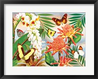 Framed Butterflies With Torch Ginger