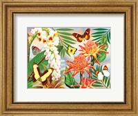 Framed Butterflies With Torch Ginger