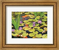 Framed Koi Pond II