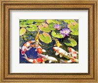 Framed Koi Pond III