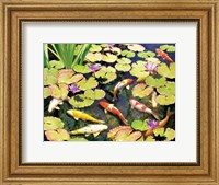 Framed Koi Pond IV