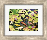 Framed Koi Pond IV