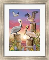 Framed Pelicans-Vertical