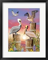 Framed Pelicans-Vertical