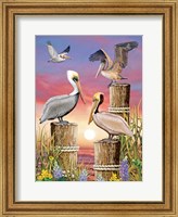 Framed Pelicans-Vertical