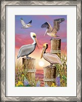 Framed Pelicans-Vertical