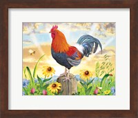 Framed Rooster At Dawn
