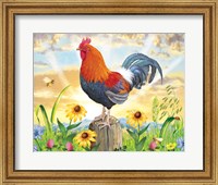 Framed Rooster At Dawn