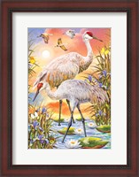 Framed Sandhill Cranes