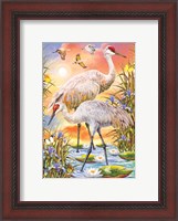 Framed Sandhill Cranes