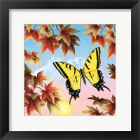 Framed Swallowtail