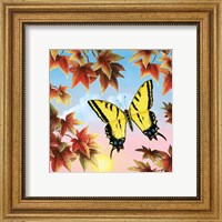 Framed Swallowtail