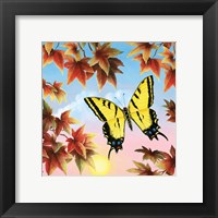 Framed Swallowtail