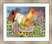 Framed Yellow Rooster Greeting The Day