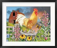 Framed Yellow Rooster Greeting The Day