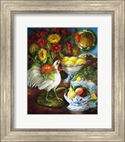 Framed Majolica Collection