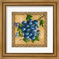 Framed Blueberries