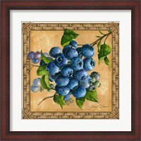 Framed Blueberries