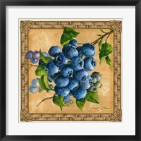 Framed Blueberries