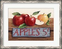 Framed Apples 5 Cents