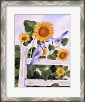 Framed Bluejays And Sunflowers