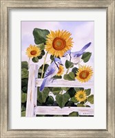Framed Bluejays And Sunflowers