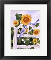 Framed Bluejays And Sunflowers