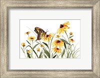 Framed Butterfly & Black Eyed Susans