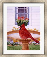 Framed Cardinal And Geraniums