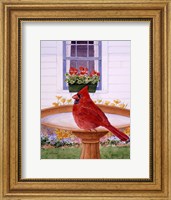 Framed Cardinal And Geraniums