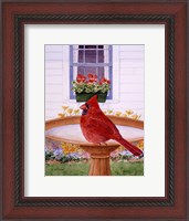 Framed Cardinal And Geraniums