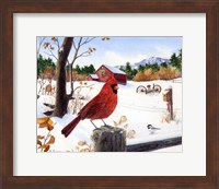 Framed Cardinal Mornings