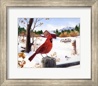 Framed Cardinal Mornings