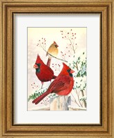 Framed Cardinals In Winter