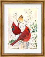 Framed Cardinals In Winter