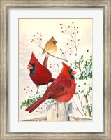 Framed Cardinals In Winter