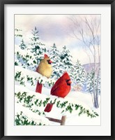 Framed Cedar Farms Cardinals I