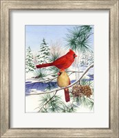 Framed Cedar Farms Cardinals II