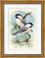 Framed Chickadee Vignette