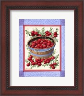 Framed Cranberries