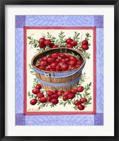 Framed Cranberries