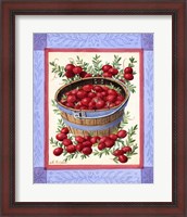 Framed Cranberries