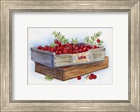 Framed Cranberry Crates