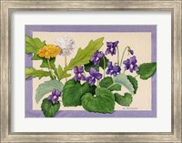 Framed Dandelion And Violets