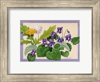 Framed Dandelion And Violets