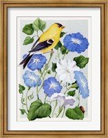 Framed Goldfinch And Morning Glories
