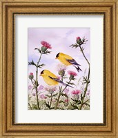 Framed Goldfinch and Thistle